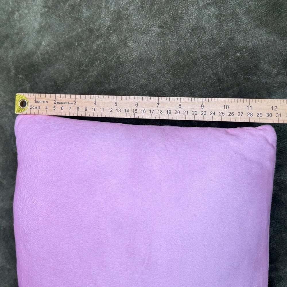Strawberry Shortcake Pink Plush Decorative Throw Pillow Jay Franco 12x12 2024